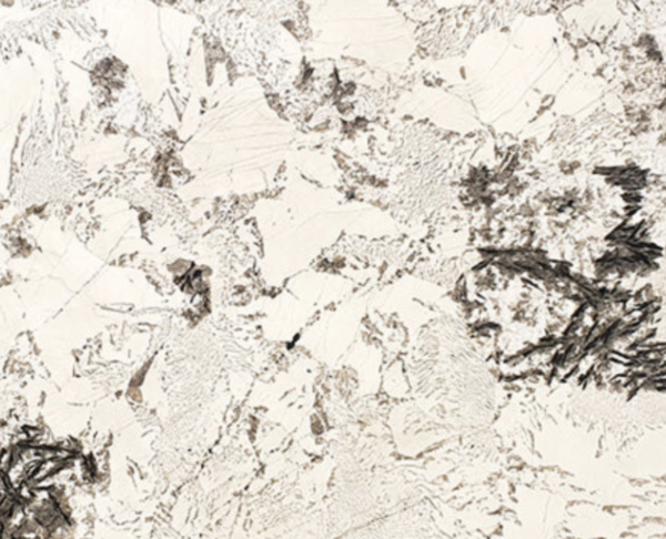 Alpinus - 156